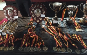 Junior medals